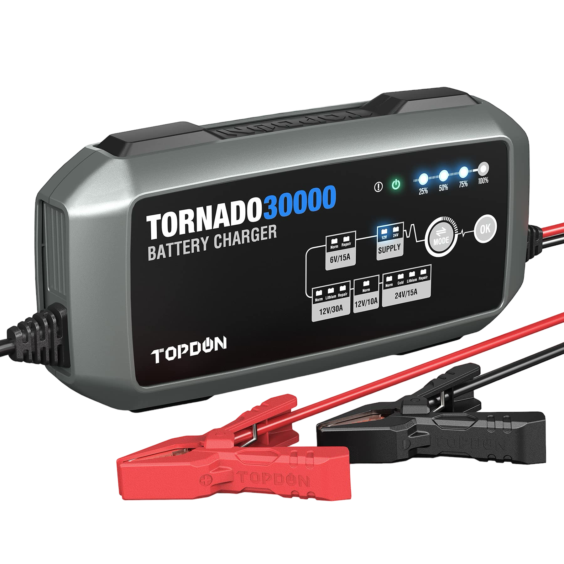 Tornado 30000 — Ladegerät 30A
